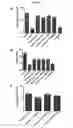 Fig. 07 - ACETYLYCHOLINE GATED ION CHANNEL CHAPERONS AND METHODS OF USING THE SAME