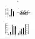 Fig. 02 - Compositions and methods for improving bone mass through modulation of receptors of PTH and fragments thereof