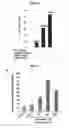 Fig. 09 - Compositions and methods for improving bone mass through modulation of receptors of PTH and fragments thereof