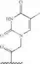 Fig. 08 - Peptide nucleic  acid based guanidinium compounds