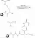 Fig. 30 - Peptide nucleic  acid based guanidinium compounds