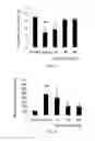 Fig. 05 - COMPOUNDS AND METHODS FOR ENHANCING ERYTHROPOIESIS