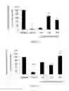 Fig. 06 - COMPOUNDS AND METHODS FOR ENHANCING ERYTHROPOIESIS