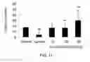 Fig. 07 - COMPOUNDS AND METHODS FOR ENHANCING ERYTHROPOIESIS