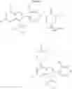 Fig. 09 - Purine compounds