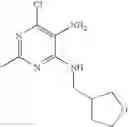 Fig. 20 - Purine compounds