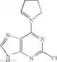 Fig. 23 - Adenine derivatives