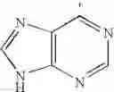 Fig. 28 - Adenine derivatives