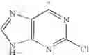 Fig. 32 - Adenine derivatives