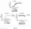 Fig. 08 - Heterobicyclic sphingosine 1-phosphate analogs