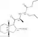 Fig. 02 - Crystalline forms of perindopril erbumine