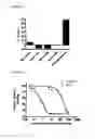 Fig. 02 - Compositions, methods of use and preparation of 2,6-diisopropyl phenol and analogs for ischemic injury