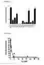 Fig. 03 - Compositions, methods of use and preparation of 2,6-diisopropyl phenol and analogs for ischemic injury