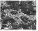Fig. 01 - Blend Composition of Polycarbonate Resin and Vinyl-Based Copolymer and Molded Product Made Using the Same