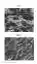 Fig. 02 - Blend Composition of Polycarbonate Resin and Vinyl-Based Copolymer and Molded Product Made Using the Same