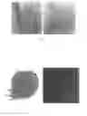 Fig. 03 - Methods of making polymer composites containing single-walled carbon nanotubes