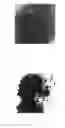 Fig. 04 - Methods of making polymer composites containing single-walled carbon nanotubes