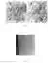 Fig. 06 - Methods of making polymer composites containing single-walled carbon nanotubes