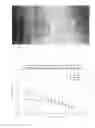 Fig. 07 - Methods of making polymer composites containing single-walled carbon nanotubes