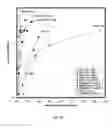 Fig. 22 - Methods of making polymer composites containing single-walled carbon nanotubes