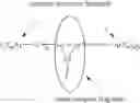 Fig. 06 - Aromatic monomer- and conjugated polymer-metal complexes
