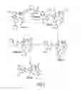 Fig. 02 - DOCETAXEL POLYMORPHS AND PROCESSES