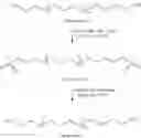 Fig. 41 - Linear amine functionalized poly(trimethylene ether) compositions