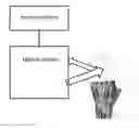 Fig. 01 - SELECTION OF PREFERRED SAMPLING LOCATION ON HAND VIA MINIMIZATION OF SAMPLING ERROR, AND OPTICAL ALIGNMENT FOR REPEATABLY SAMPLING TISSUE