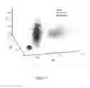 Fig. 06 - PORCINE BILIARY TRACT IMAGING