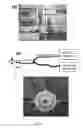 Fig. 26 - PORCINE BILIARY TRACT IMAGING