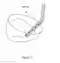 Fig. 28 - PORCINE BILIARY TRACT IMAGING