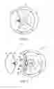 Fig. 02 - Massage Device