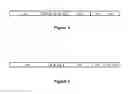 Fig. 05 - Microcatheter