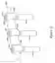 Fig. 16 - Bone anchor assembly and methods of use