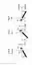 Fig. 04 - Anchoring device for posteriorly attaching adjacent verterbrae