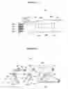 Fig. 08 - Muscle therapy system