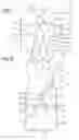 Fig. 06 - Device for conveying air to a person
