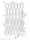 Fig. 02 - Stent and stent-graft having one or more conformance struts