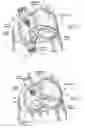 Fig. 09 - Devices, systems, and methods for reshaping a heart valve annulus