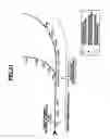 Fig. 19 - VEHICLE OPERATION SUPPORT SYSTEM AND NAVIGATION APPARATUS