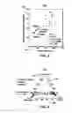 Fig. 03 - Method for predicting petroleum expulsion