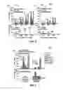Fig. 04 - Method for predicting petroleum expulsion