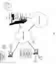Fig. 02 - System and Method for Rendering Advertisements