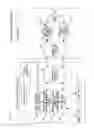 Fig. 02 - DRIVE ICON DISPLAY DEVICE, METHOD, AND SYSTEM