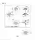 Fig. 10 - Methods and apparatus for providing user level DMA and memory access management