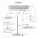 Fig. 08 - Dynamic generation of playlists