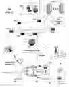 Fig. 02 - Sharing behavioral patterns between devices