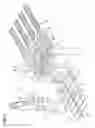 Fig. 02 - Method and apparatus for supplying bags to a packaging machine