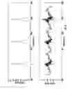 Fig. 03 - Method and device for detecting peak values of pressure in a cylinder of an internal combustion engine