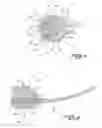 Fig. 06 - PNEUMATIC STARTING SYSTEM